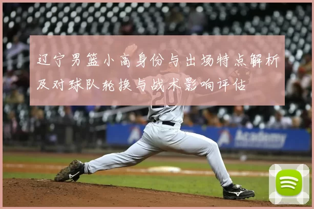 辽宁男篮小高身份与出场特点解析及对球队轮换与战术影响评估