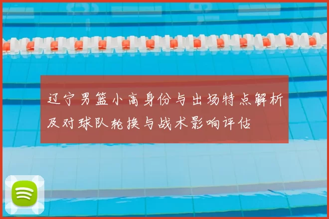 辽宁男篮小高身份与出场特点解析及对球队轮换与战术影响评估