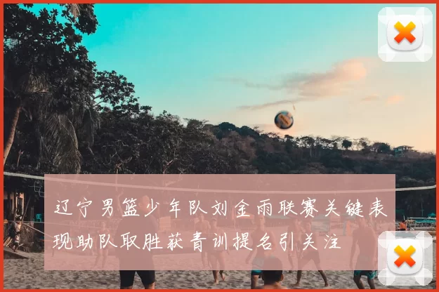 辽宁男篮少年队刘金雨联赛关键表现助队取胜获青训提名引关注