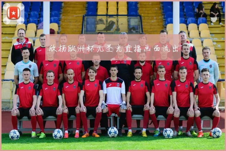 欣杨欧洲杯无圣光直播画面流出