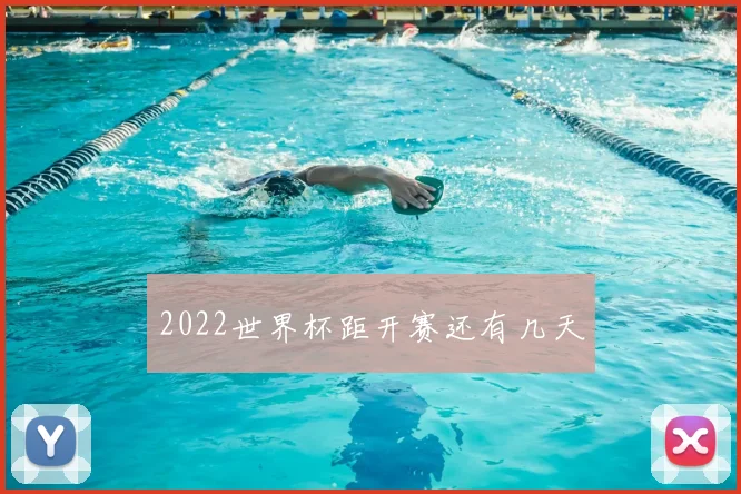 2022世界杯距开赛还有几天