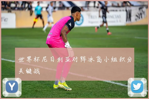 世界杯尼日利亚对阵冰岛小组积分关键战