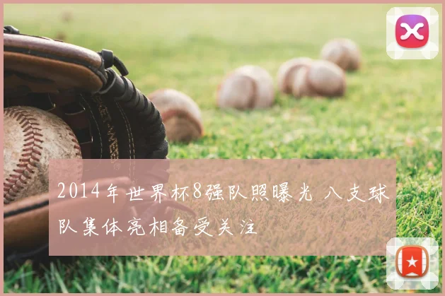 2014年世界杯8强队照曝光 八支球队集体亮相备受关注